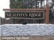 Elegant community entrance sign reading Murphys Ridge set against a beautiful stone base at 4461 Poppy Mallow Ln, Oxford, NC 27565