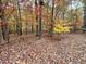 A picturesque view of a forest with trees with colorful leaves during the fall season at 4461 Poppy Mallow Ln, Oxford, NC 27565