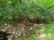 Secluded backyard with a creek running through the trees and shrubbery at 100 Silver Lining Ln, Cary, NC 27513