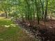 Landscaped backyard featuring a rock-lined creek, adding a natural element to the property at 100 Silver Lining Ln, Cary, NC 27513