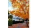 Charming home with a covered front porch, manicured bushes, and a beautiful, vibrant autumn tree at 104 Edgewater Cir, Chapel Hill, NC 27516