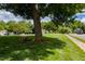 Scenic view of a community green space with a large tree, a bench, and well-maintained lawns and sidewalks at 121 Walter Hagen Dr, Mebane, NC 27302