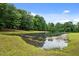Scenic view of a pond surrounded by lush green trees and grass under a blue sky at 3095 Champs Way, Mebane, NC 27302