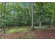 A leafy backyard featuring tall trees and a wooden fence at 4009 Olde Coach Rd, Durham, NC 27707