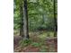 View of backyard with trees, green foliage, privacy fence, hammock, and outdoor seating at 4009 Olde Coach Rd, Durham, NC 27707