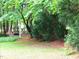 Secluded backyard with lush greenery and mature trees at 5401 Fire Pink Way, Raleigh, NC 27613