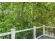 Lush wooded view from the backyard deck showcasing natural beauty and privacy at 6 Beaver Creek Lane Ln, Durham, NC 27703