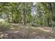 Secluded backyard featuring mature trees providing shade and privacy creating a serene outdoor space at 938 Hargrove St, Henderson, NC 27536