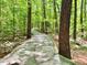 Winding walking path through a lush green forest landscape, perfect for nature lovers at 104 Odessa Cir, Cary, NC 27513