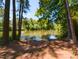 Picturesque view of the backyard pond surrounded by lush trees offering a peaceful setting at 106 N Lakeside Dr, Smithfield, NC 27577