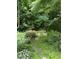 Tranquil garden featuring lush greenery, mature trees, vibrant flowers, and a stepping stone path at 121 Flint Point Ln, Holly Springs, NC 27540