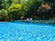 Beautiful pool surrounded by lush greenery, landscaping, and patio furniture at 121 Flint Point Ln, Holly Springs, NC 27540
