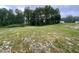 A backyard lot featuring mature trees at 170 Starry Sky Dr, Benson, NC 27504