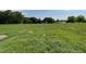 Expansive backyard with lush green grass and mature trees offering shade and privacy at 186 Coharie Dr, Lillington, NC 27546