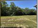View of a large backyard with a wooded area at 217 Busterfield Ct, Benson, NC 27504