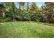 Spacious backyard with lush greenery and mature trees providing ample shade at 2608 York Rd, Raleigh, NC 27608