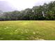 Expansive green backyard bordered by lush trees, offering serene outdoor space at 268 Busterfield Ct, Benson, NC 27504