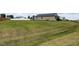 Expansive backyard with a well-maintained lawn and storage shed at 286 Beaver Tavern Dr, Benson, NC 27504