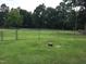Fenced-in yard with mature trees is ideal for gardening or outdoor activities at 4024 Rural Retreat Rd, Burlington, NC 27215