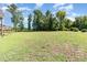 Wide open backyard with tall mature trees surrounding the property line at 41 Tan Oak Dr, Selma, NC 27576