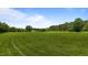 A large open green yard with few trees and a house in the distance on a partly cloudy day at 5200 Mrs Fuller Rd, Mebane, NC 27302