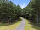 A paved path winds through a serene forest of tall pine trees under a clear blue sky at 5942 Big Nance Dr, Raleigh, NC 27616