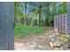 A view into the backyard showing wooded area, fencing, and stone accents at 7365 Sandy Creek Dr, Raleigh, NC 27615