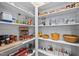 Well-organized walk-in pantry with plenty of shelving for storage at 1010 Sandbar Ln, Durham, NC 27703
