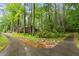 A winding driveway leads to a secluded home nestled among towering trees, providing privacy and a sense of tranquility at 109 Loch Haven Ln, Cary, NC 27518