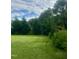 Expansive backyard showcases lush greenery and mature trees, creating a private retreat at 1116 Powder, Fuquay Varina, NC 27526