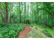 Lush backyard features garden and a path through the trees and greenery at 112 Hidden Bluff Ln, Cary, NC 27513