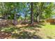 Secluded back yard with mature trees, wooden privacy fence and partial grass coverage at 12449 W Pamlico St, Middlesex, NC 27557