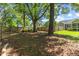Backyard featuring mature trees and wood privacy fence at 12449 W Pamlico St, Middlesex, NC 27557