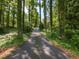 Long driveway leading to home, surrounded by lush trees and greenery at 3421 Angus Rd, Durham, NC 27705