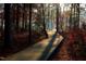 Inviting wooden walking path through colorful autumn trees at 5405 Bluet Ct, Holly Springs, NC 27540