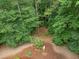 An aerial view of a lush backyard featuring mature trees and manicured landscaping at 5805 Laurel Rock Ln, Raleigh, NC 27613