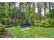 Picturesque garden area with a bench, surrounded by lush trees and greenery at 620 Wade Ave # 505, Raleigh, NC 27605