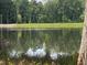 Reflective pond surrounded by lush trees and vegetation, creating a serene, natural landscape at 8231 Allyns Landing Way # 101, Raleigh, NC 27615