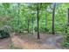 Lush backyard featuring mature trees, providing a private, nature-filled retreat at 1311 Theodore Ln, Durham, NC 27703
