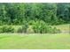 A grassy backyard overlooking the woods and neighborhood at 1950 Menet St, Apex, NC 27502
