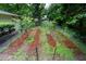 Spacious garden in the back yard, ready for planting at 2004 Flagstone Pl, Raleigh, NC 27612