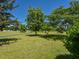 Lush green lawn featuring mature trees and a winding driveway, showcasing a serene and spacious landscape at 2371 Nc 210, Smithfield, NC 27577