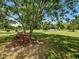 Picturesque lawn featuring a vintage farm wheel, complemented by a mature shade tree and green grass at 2371 Nc 210, Smithfield, NC 27577