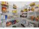 Well-organized pantry with ample shelving for storing food and household items at 2412 Colony Woods Dr, Apex, NC 27523
