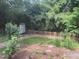 Lush backyard featuring mature bamboo, a charming shed, and a classic picket fence for added privacy and appeal at 26 Rogerson Dr, Chapel Hill, NC 27517