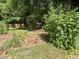 A lovely backyard featuring flourishing plants and landscaping that enhances the outdoor living experience at 26 Rogerson Dr, Chapel Hill, NC 27517