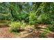A partially shaded backyard featuring mature trees, lush landscaping, a charming picket fence, and an enchanting shed at 26 Rogerson Dr, Chapel Hill, NC 27517