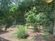Overhead view of the backyard showcasing beautiful landscaping, a picket fence, and an enchanting shed at 26 Rogerson Dr, Chapel Hill, NC 27517