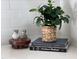 Close up of books and decorative plant on the kitchen countertop at 26 Rogerson Dr, Chapel Hill, NC 27517
