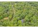 A house with a black roof amidst vibrant, leafy trees, seen from above showcasing its secluded location at 2606 Sherbrooke Dr, Durham, NC 27712